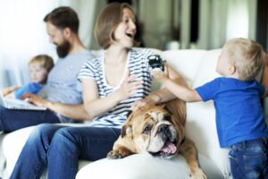 family-on-couch-with-english-bulldog